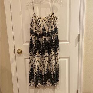 Ann Taylor Vintage Black and Cream Midi Dress